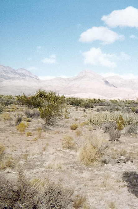 レットロックキャニオン