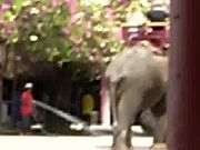 象のりローズガーデン